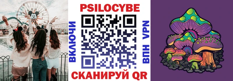 где найти наркотики  Ревда  Псилоцибиновые грибы ЛСД 